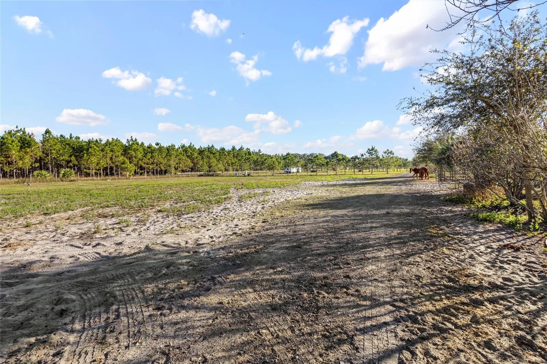 18121 Bethlehem Road Lithia FL 33547