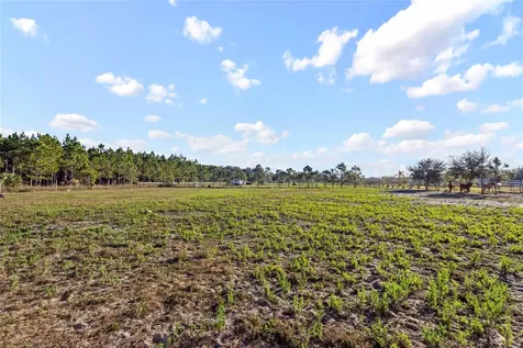 18121 Bethlehem Road Lithia FL 33547