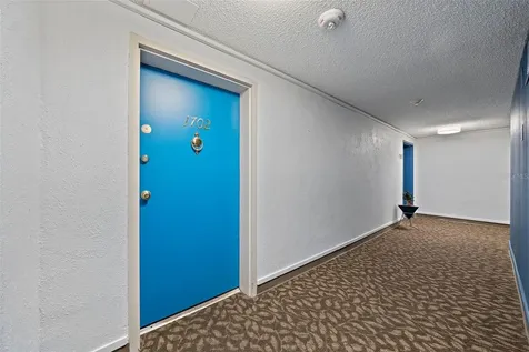 4141 Bayshore Boulevard Tampa FL 33611