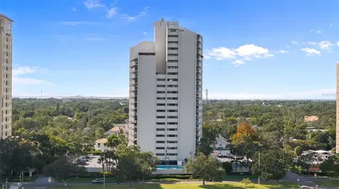 4141 Bayshore Boulevard Tampa FL 33611