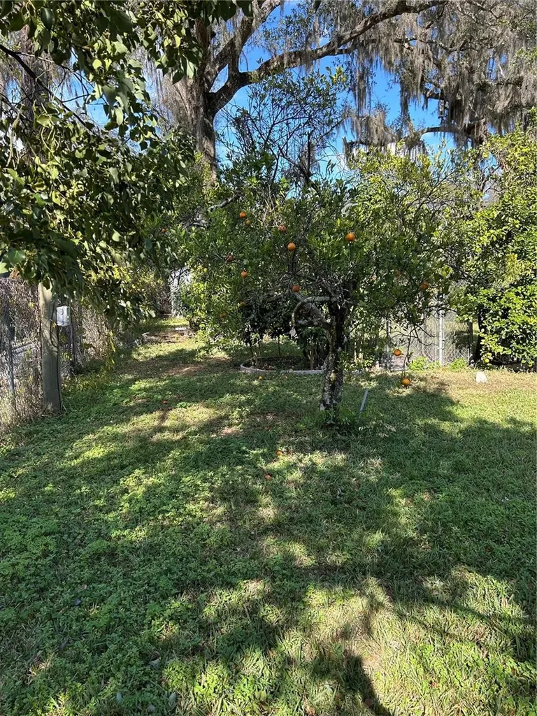 20621 SE Highway 42 Umatilla FL 32784