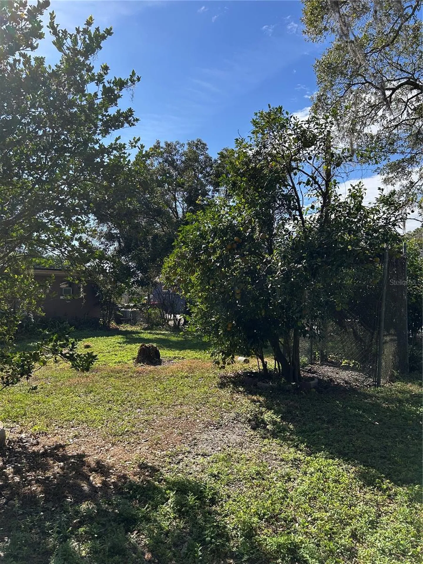 20621 SE Highway 42 Umatilla FL 32784