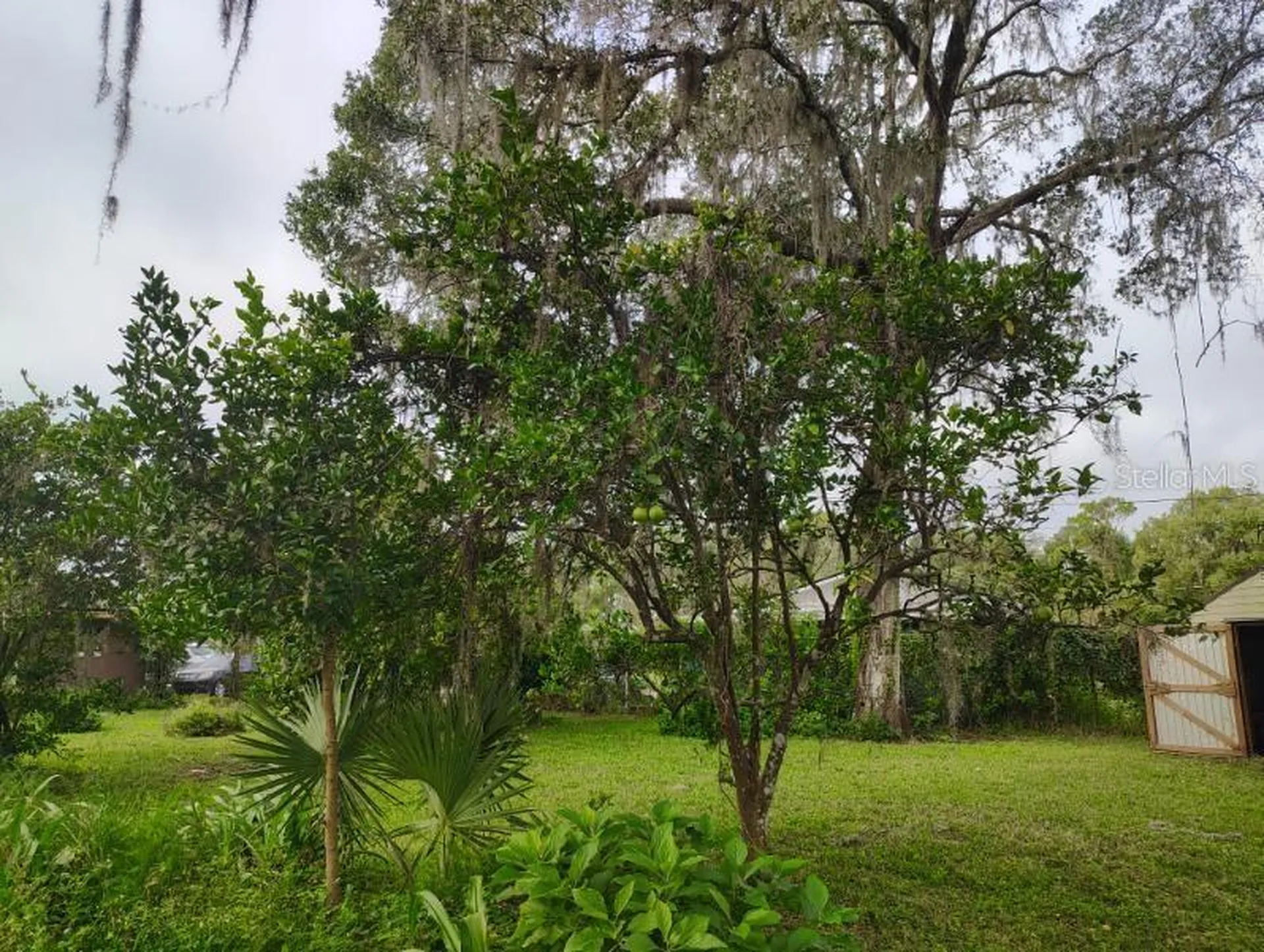 20621 SE Highway 42 Umatilla FL 32784