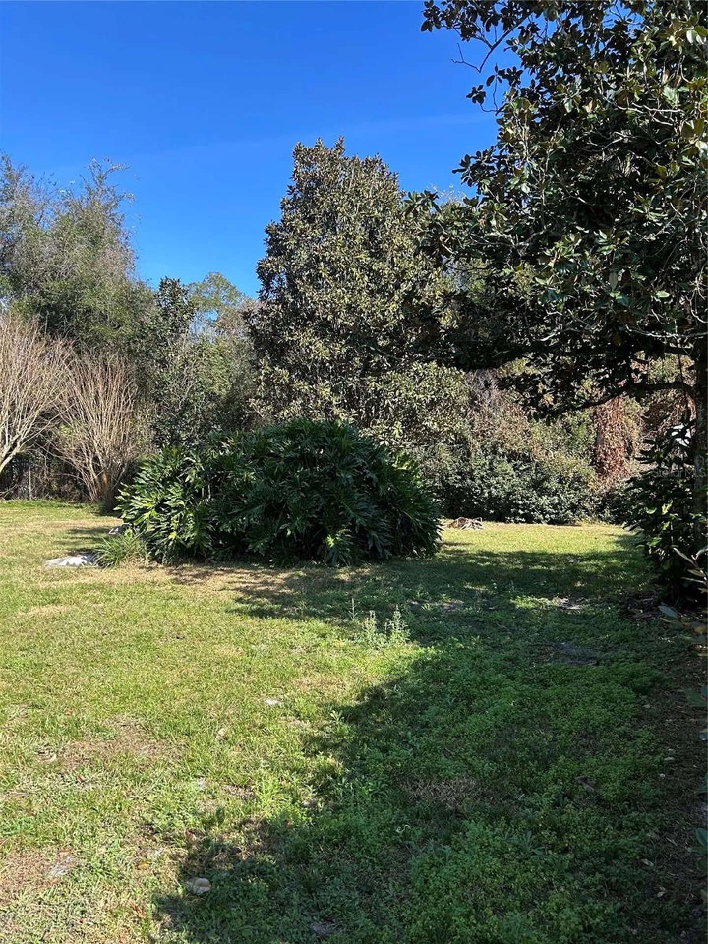 20621 SE Highway 42 Umatilla FL 32784