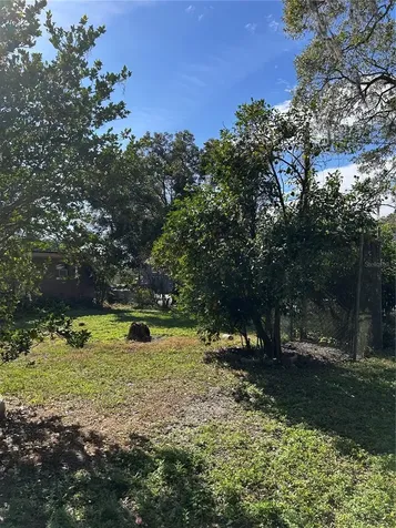 20621 SE Highway 42 Umatilla FL 32784