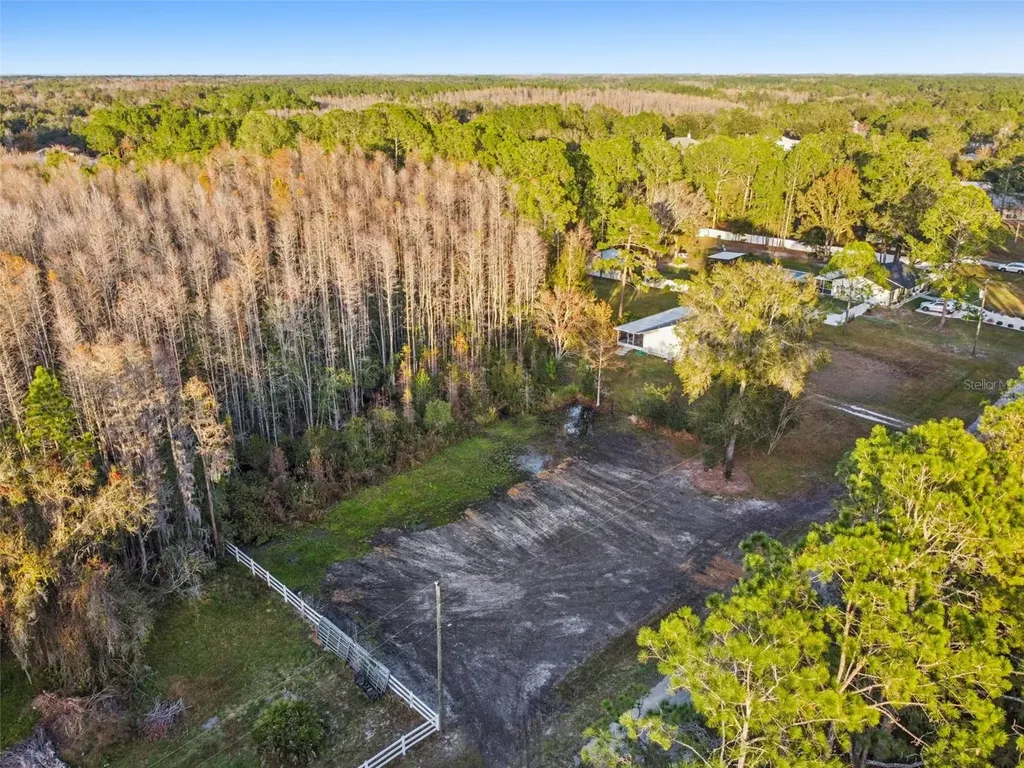 26305 Bluestripe Drive Wesley Chapel FL 33544