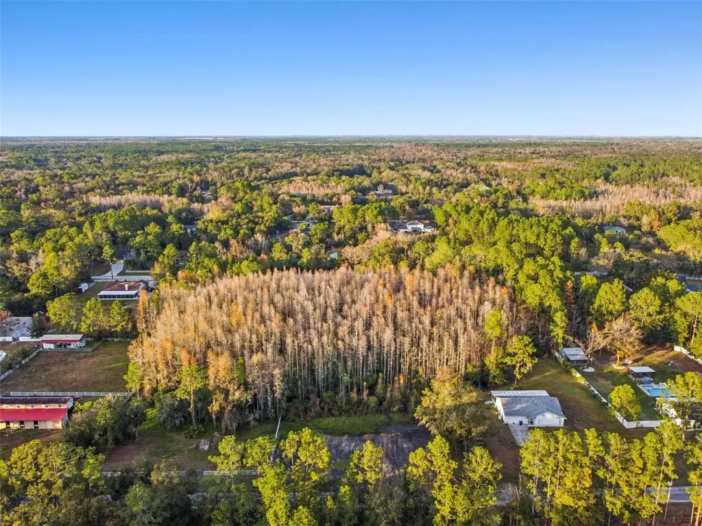 26305 Bluestripe Drive Wesley Chapel FL 33544