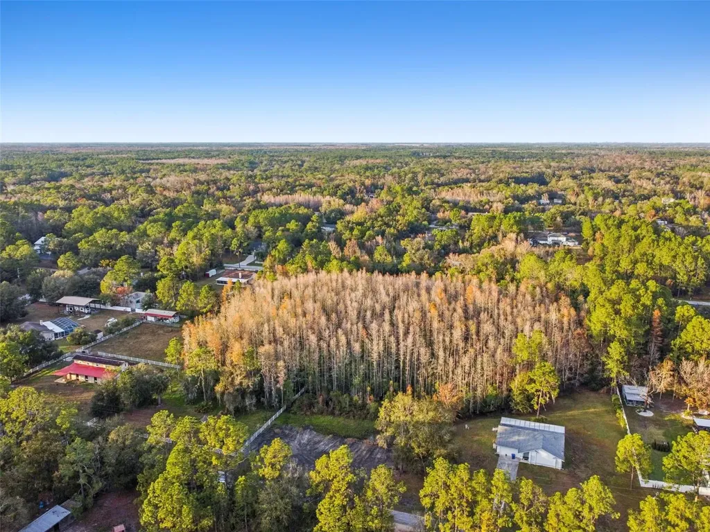 26305 Bluestripe Drive Wesley Chapel FL 33544