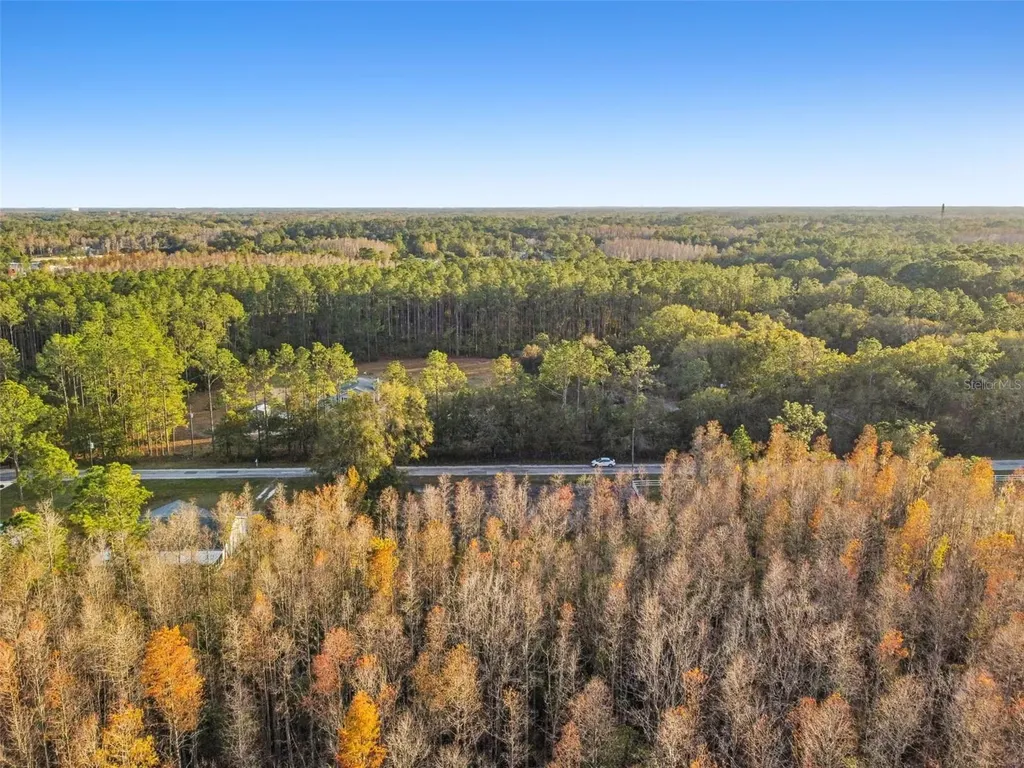 26305 Bluestripe Drive Wesley Chapel FL 33544