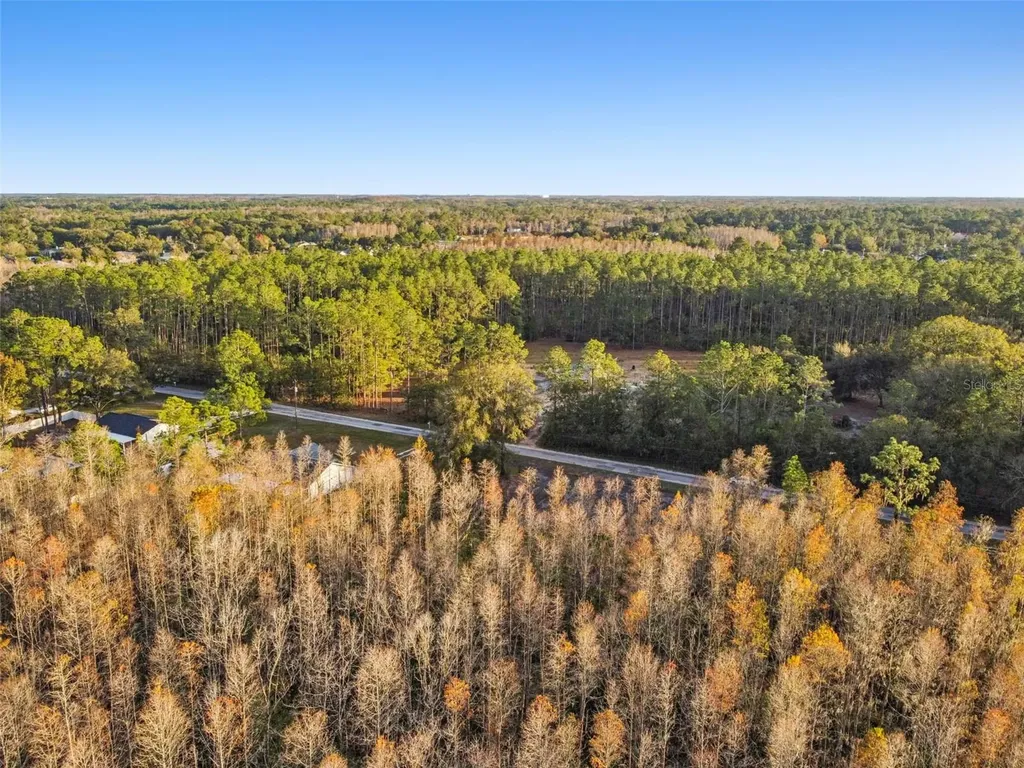 26305 Bluestripe Drive Wesley Chapel FL 33544