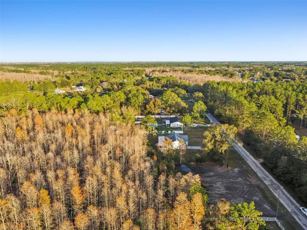 26305 Bluestripe Drive Wesley Chapel FL 33544