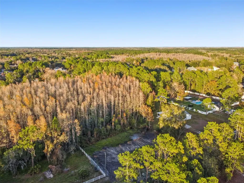 26305 Bluestripe Drive Wesley Chapel FL 33544