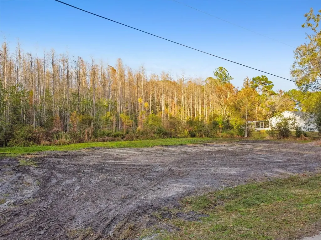 26305 Bluestripe Drive Wesley Chapel FL 33544
