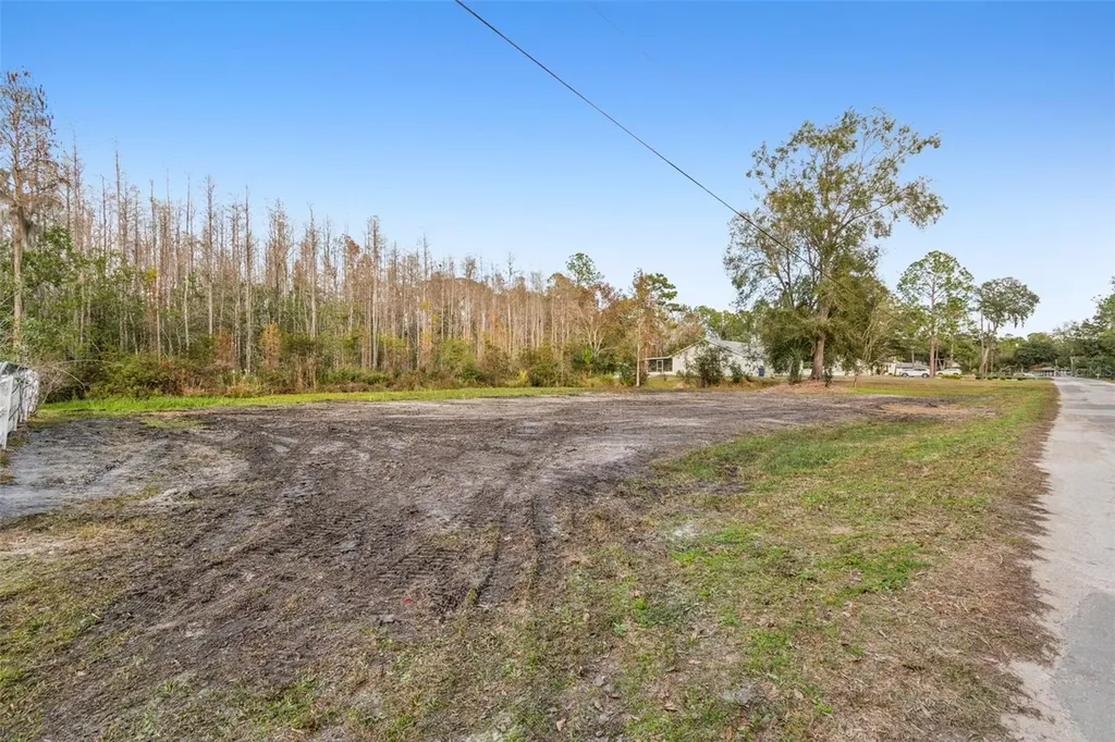 26305 Bluestripe Drive Wesley Chapel FL 33544