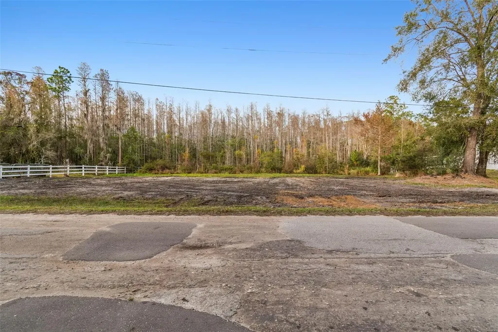 26305 Bluestripe Drive Wesley Chapel FL 33544