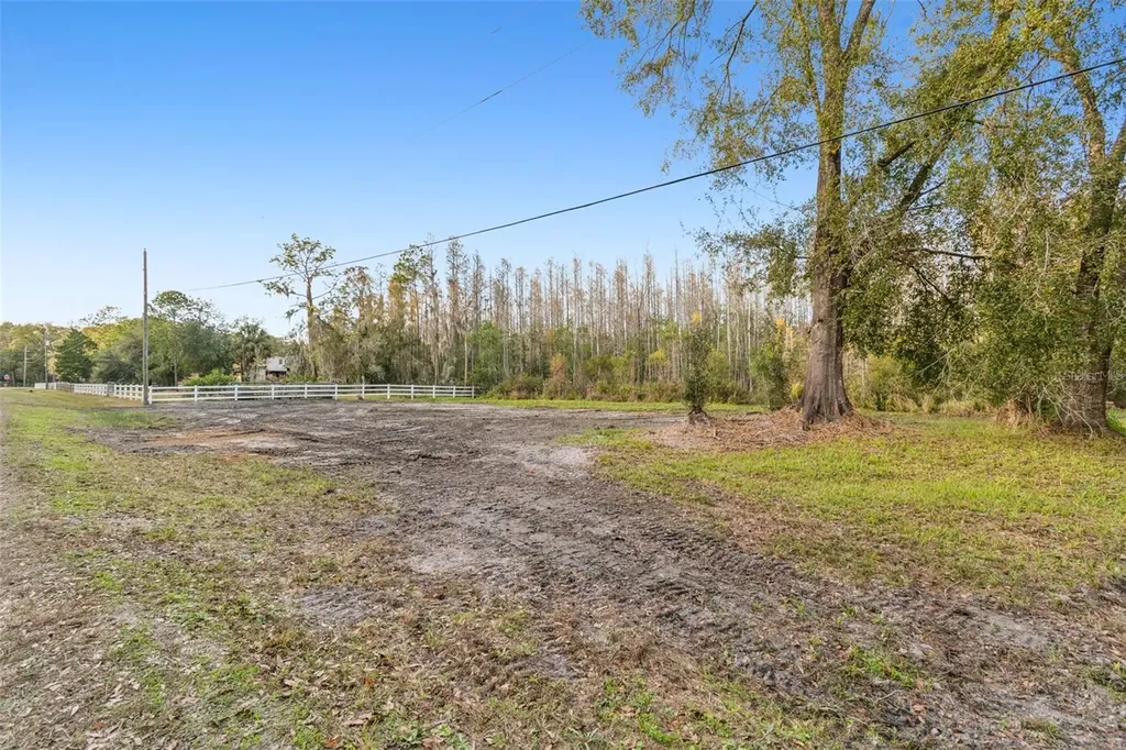 26305 Bluestripe Drive Wesley Chapel FL 33544