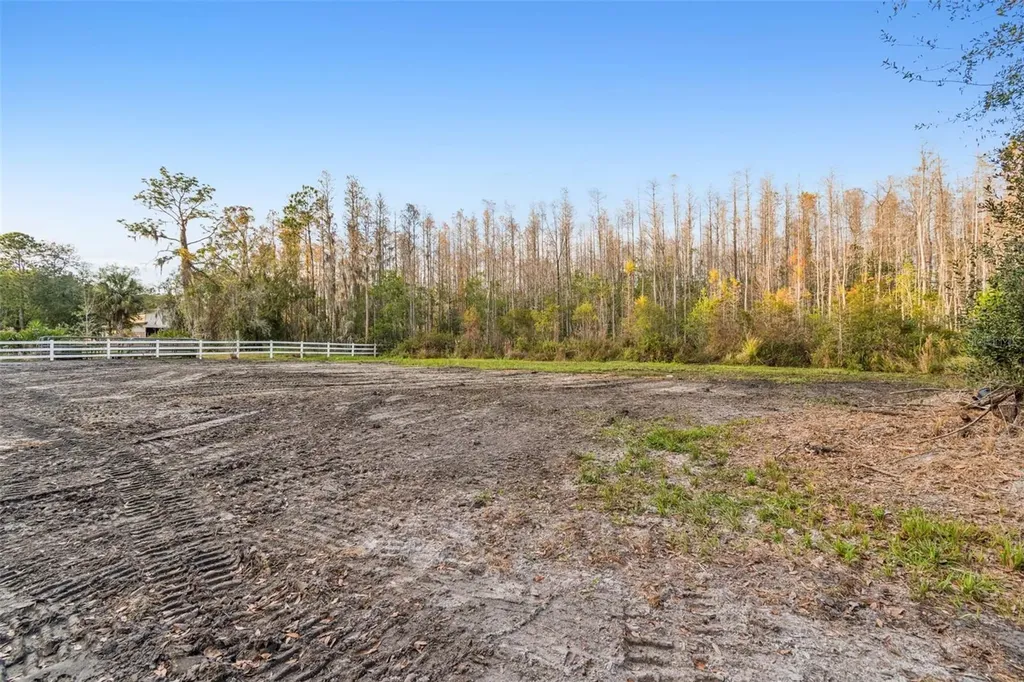 26305 Bluestripe Drive Wesley Chapel FL 33544
