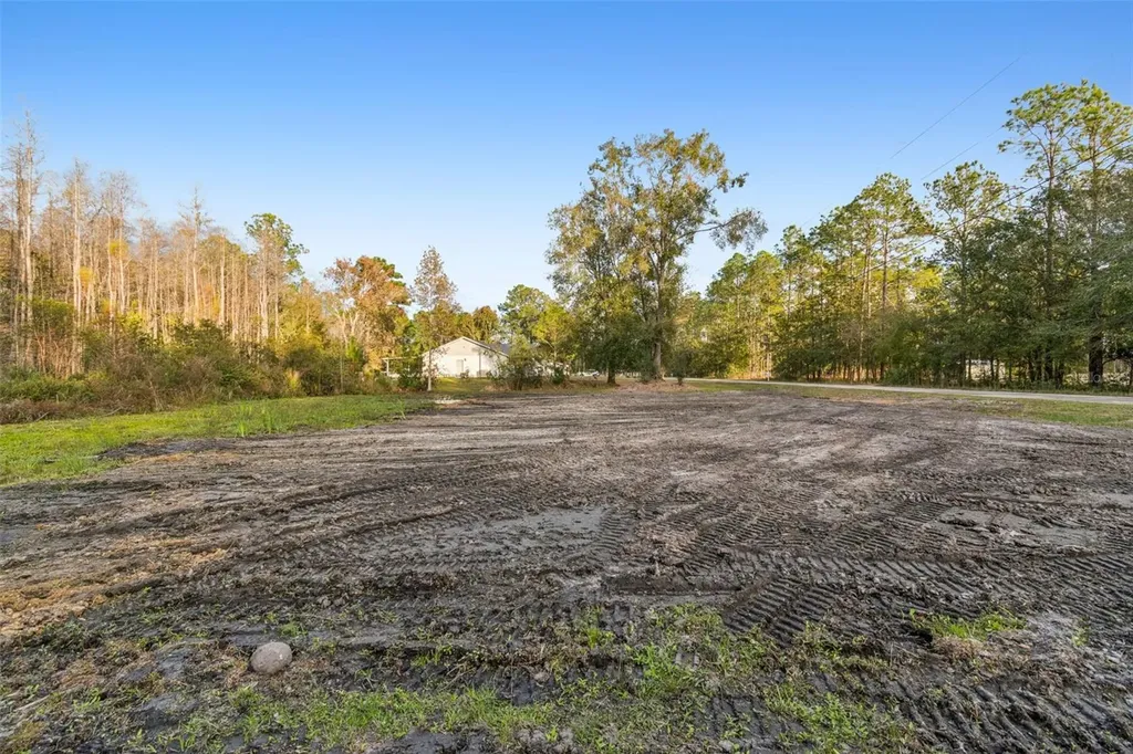 26305 Bluestripe Drive Wesley Chapel FL 33544