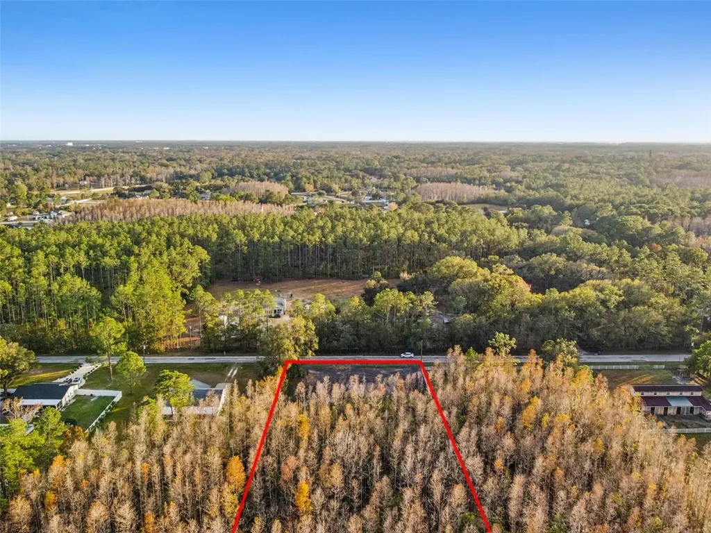 26305 Bluestripe Drive Wesley Chapel FL 33544