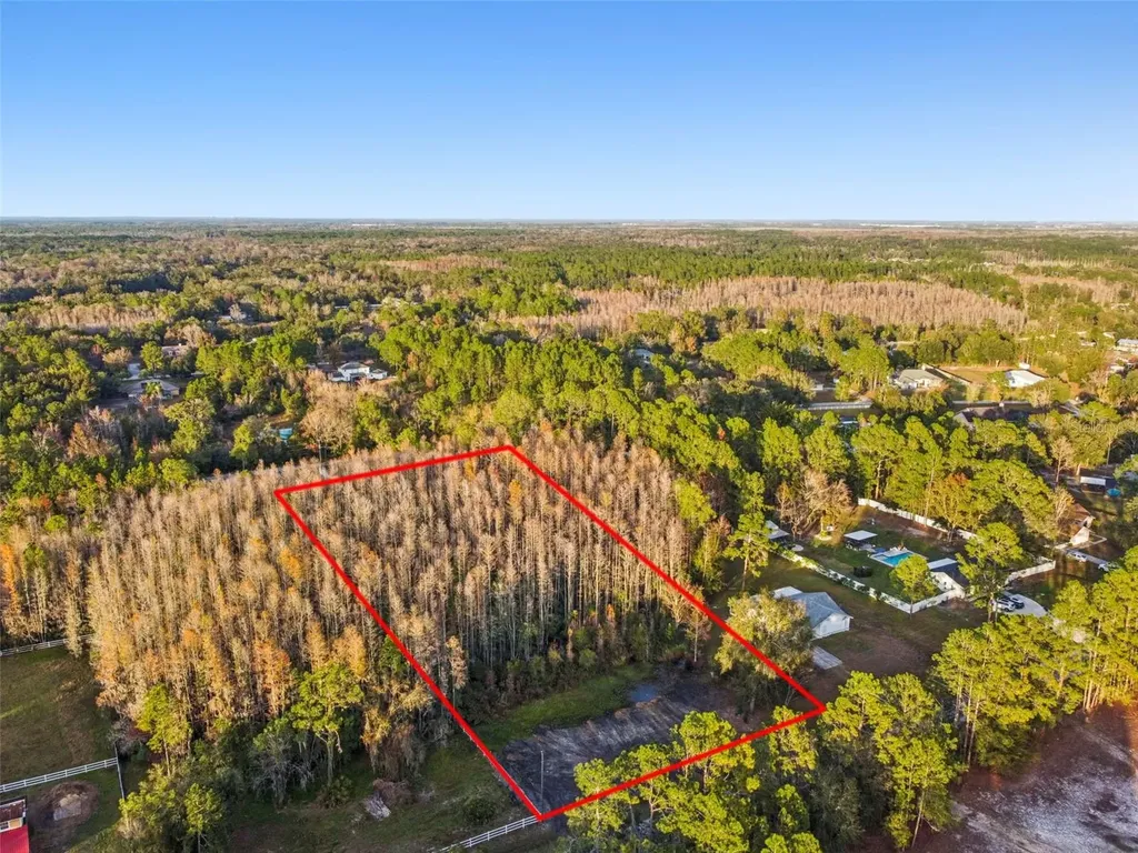 26305 Bluestripe Drive Wesley Chapel FL 33544