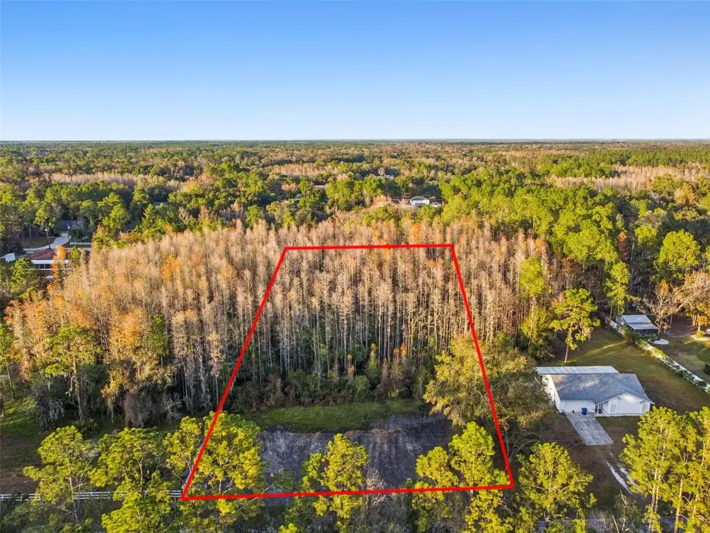 26305 Bluestripe Drive Wesley Chapel FL 33544