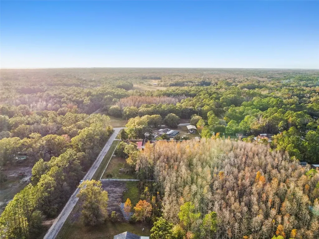 26305 Bluestripe Drive Wesley Chapel FL 33544