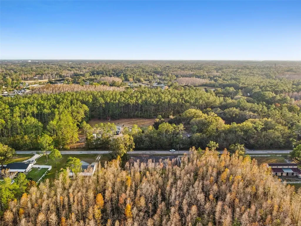 26305 Bluestripe Drive Wesley Chapel FL 33544