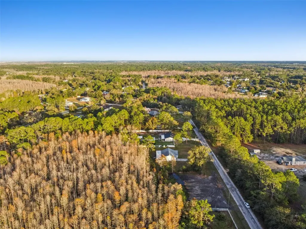 26305 Bluestripe Drive Wesley Chapel FL 33544