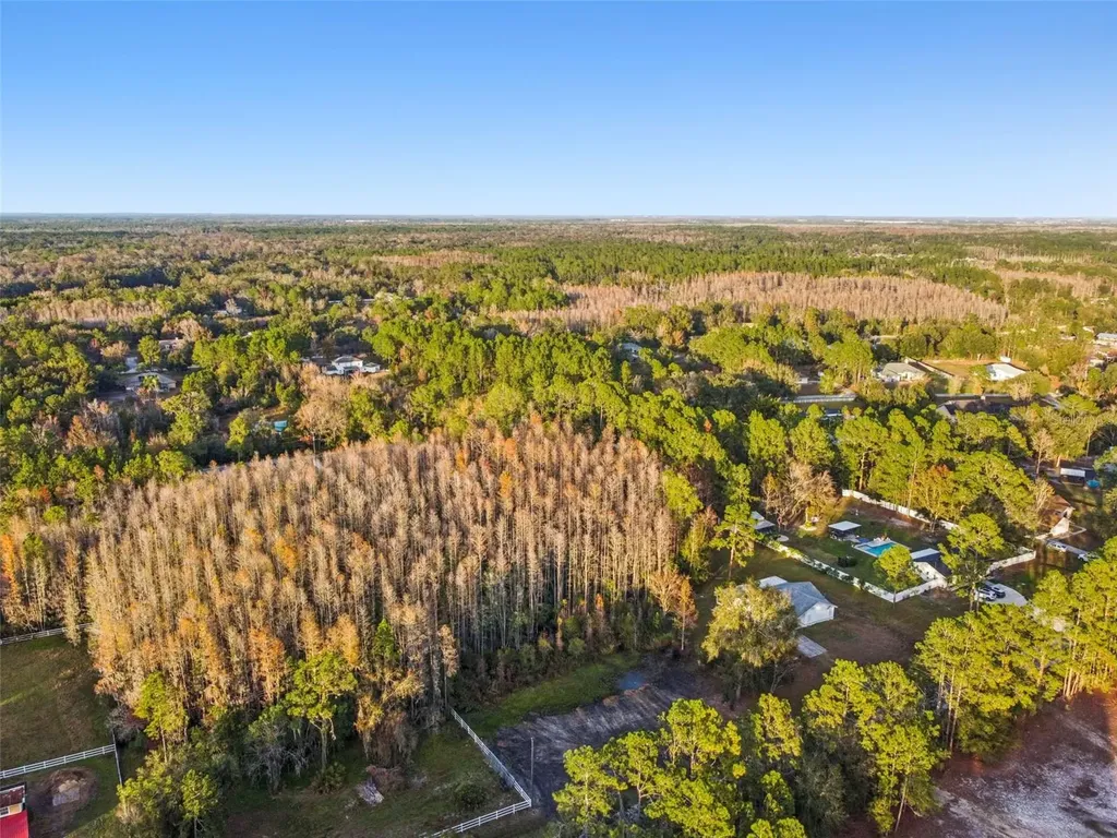 26305 Bluestripe Drive Wesley Chapel FL 33544