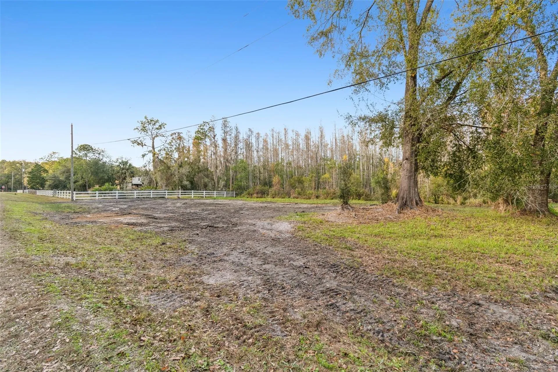 26305 Bluestripe Drive Wesley Chapel FL 33544