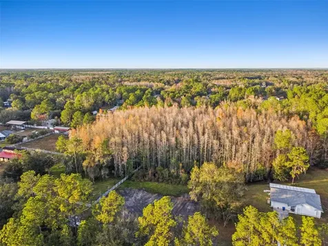 26305 Bluestripe Drive Wesley Chapel FL 33544