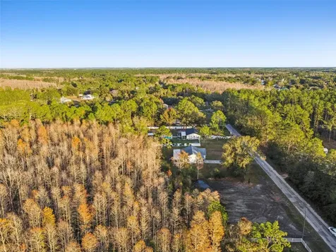 26305 Bluestripe Drive Wesley Chapel FL 33544