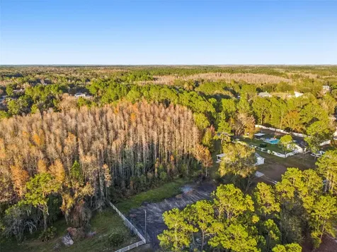 26305 Bluestripe Drive Wesley Chapel FL 33544
