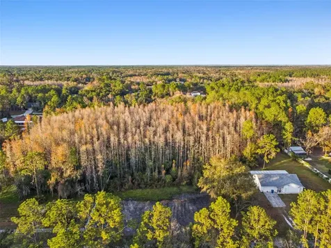 26305 Bluestripe Drive Wesley Chapel FL 33544
