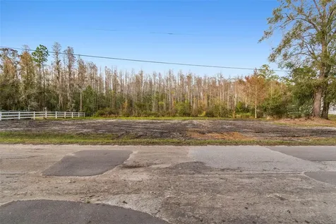 26305 Bluestripe Drive Wesley Chapel FL 33544