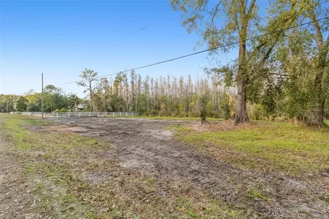 26305 Bluestripe Drive Wesley Chapel FL 33544