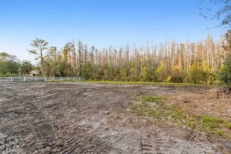 26305 Bluestripe Drive Wesley Chapel FL 33544