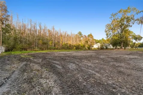 26305 Bluestripe Drive Wesley Chapel FL 33544
