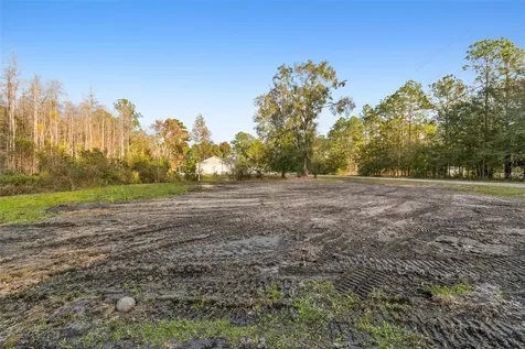 26305 Bluestripe Drive Wesley Chapel FL 33544