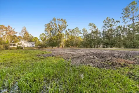 26305 Bluestripe Drive Wesley Chapel FL 33544
