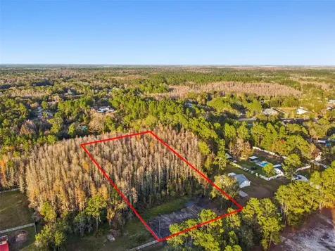26305 Bluestripe Drive Wesley Chapel FL 33544
