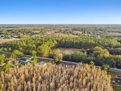 26305 Bluestripe Drive Wesley Chapel FL 33544
