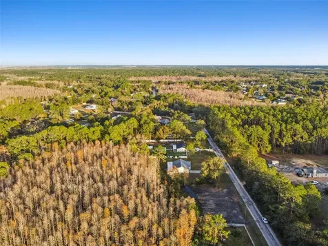 26305 Bluestripe Drive Wesley Chapel FL 33544