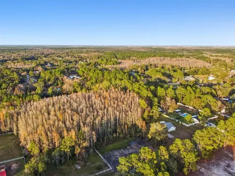 26305 Bluestripe Drive Wesley Chapel FL 33544
