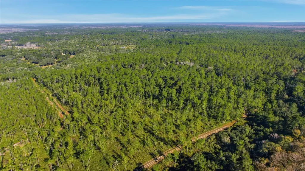 Tbd (Lot 5) NE 115th Lane Road Fort Mc Coy FL 32134