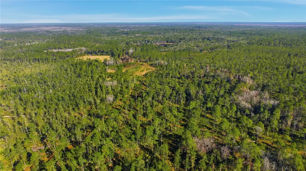 Tbd (Lot 5) NE 115th Lane Road Fort Mc Coy FL 32134