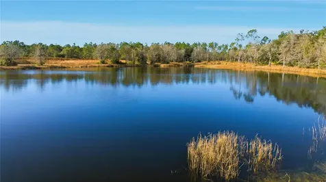 Tbd (Lot 5) NE 115th Lane Road Fort Mc Coy FL 32134