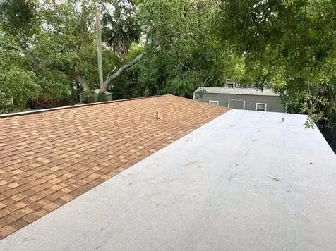 Tampa FL 33610