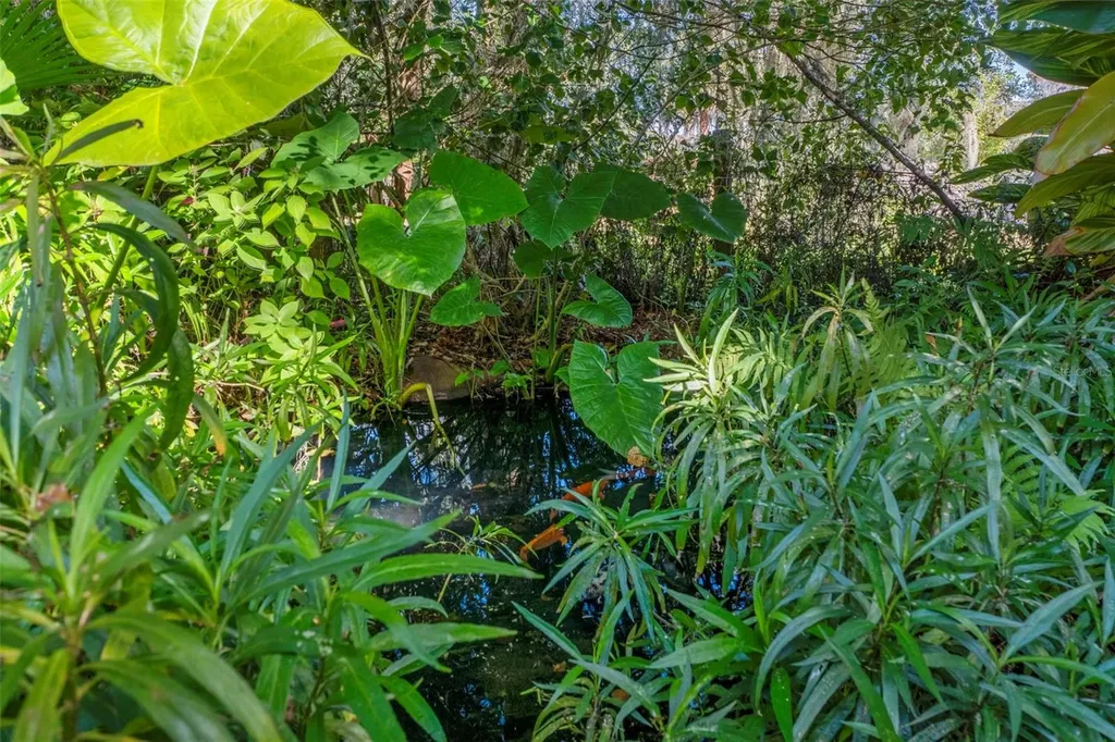 27910 Debbie Road Okahumpka FL 34762