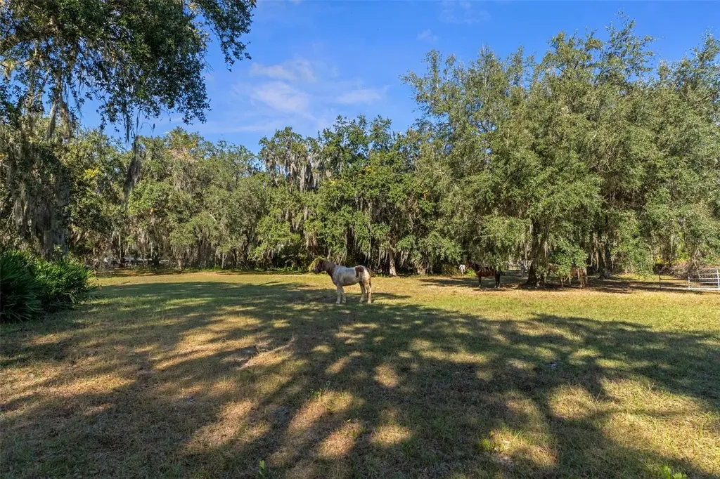 27910 Debbie Road Okahumpka FL 34762